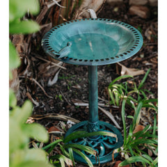 Backyard Expressions birdbath base with antiqued bronze finish adds classic charm.