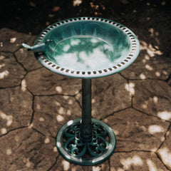 Backyard Expressions birdbath close-up of perched bird, showing intricate finish and weather resistance.