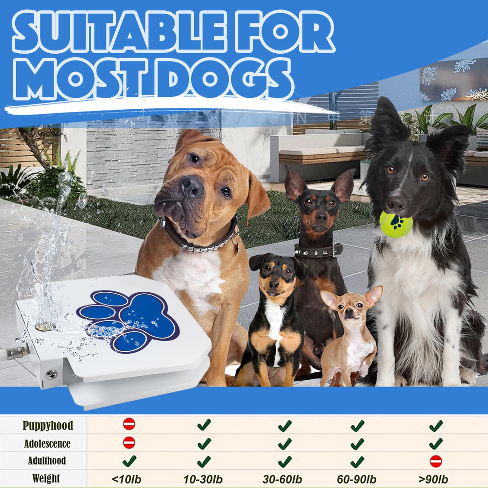 BACOENG blue outdoor dog water fountain ready for backyard play.