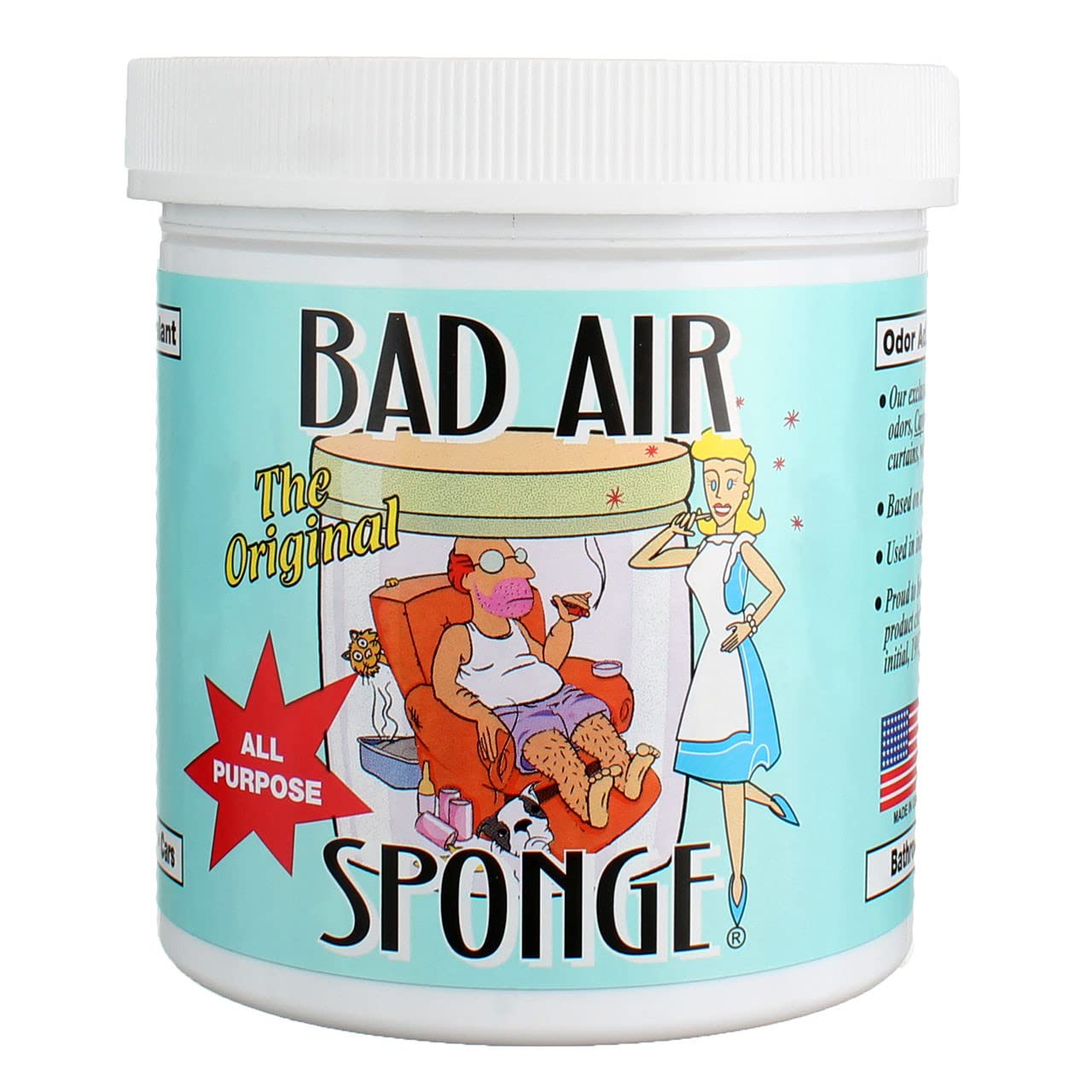 Bad Air Sponge placed in car to remove interior odors