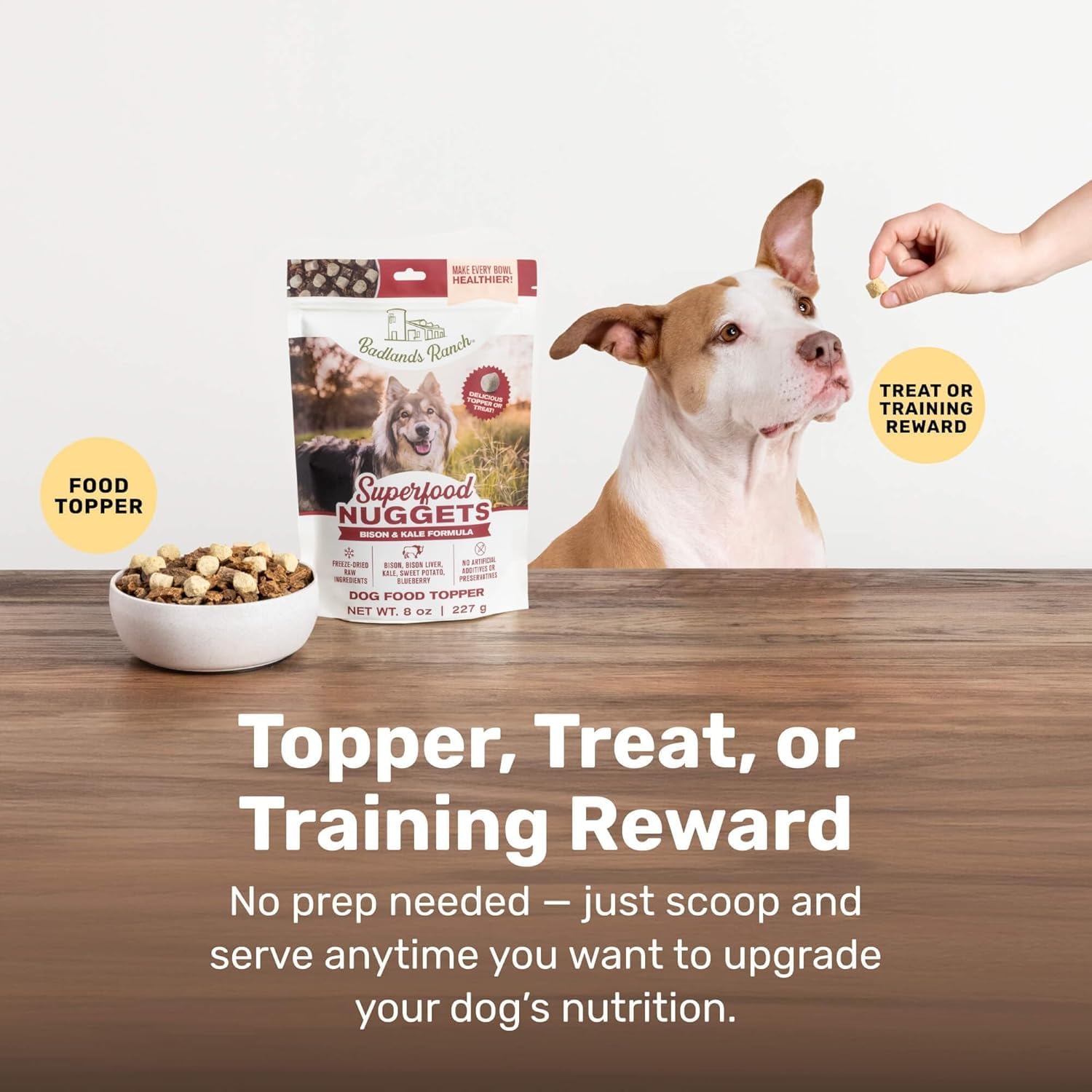 BADLANDS RANCH dog enjoying nuggets as a training reward