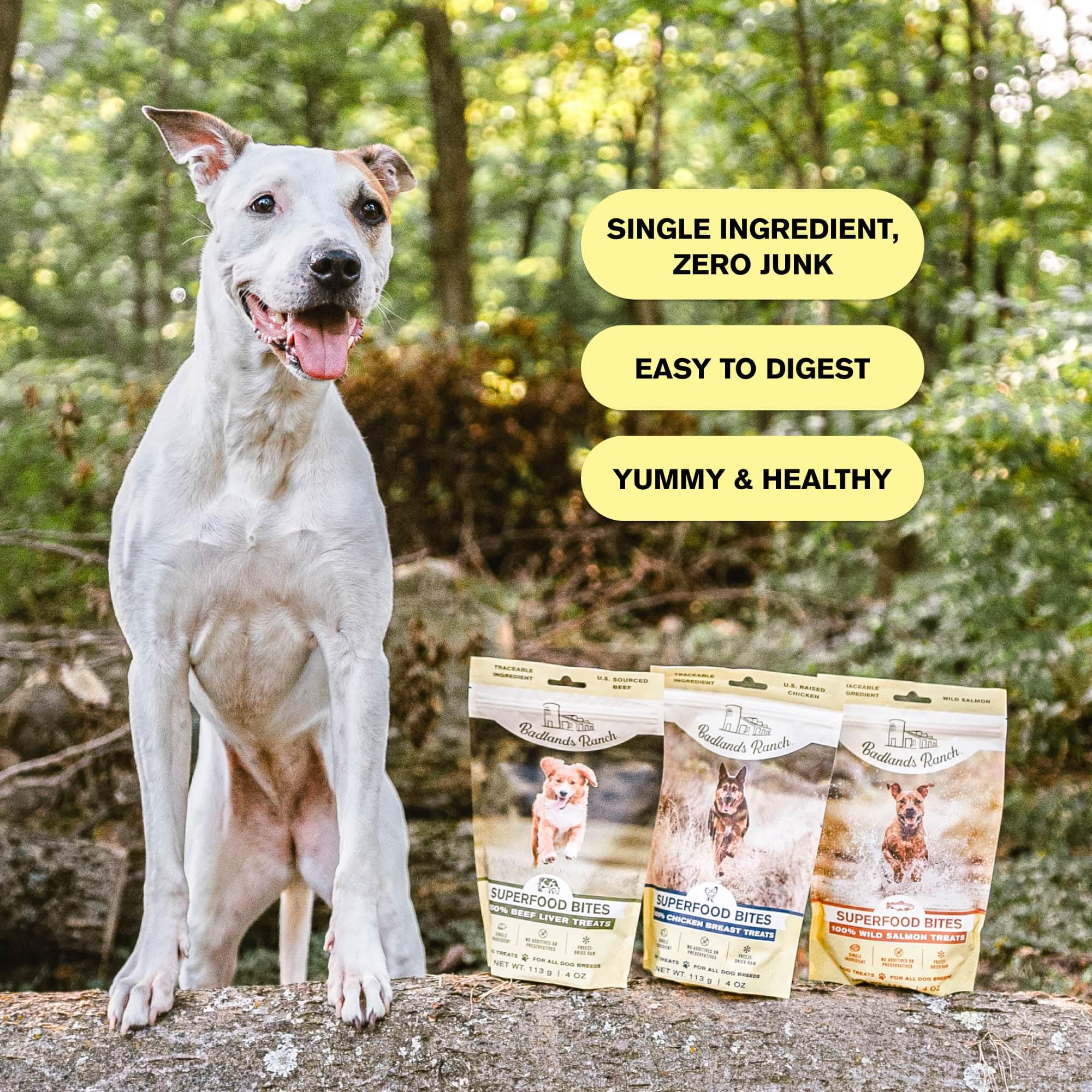 BADLANDS RANCH dog enjoying a treat, showcasing happy energy.