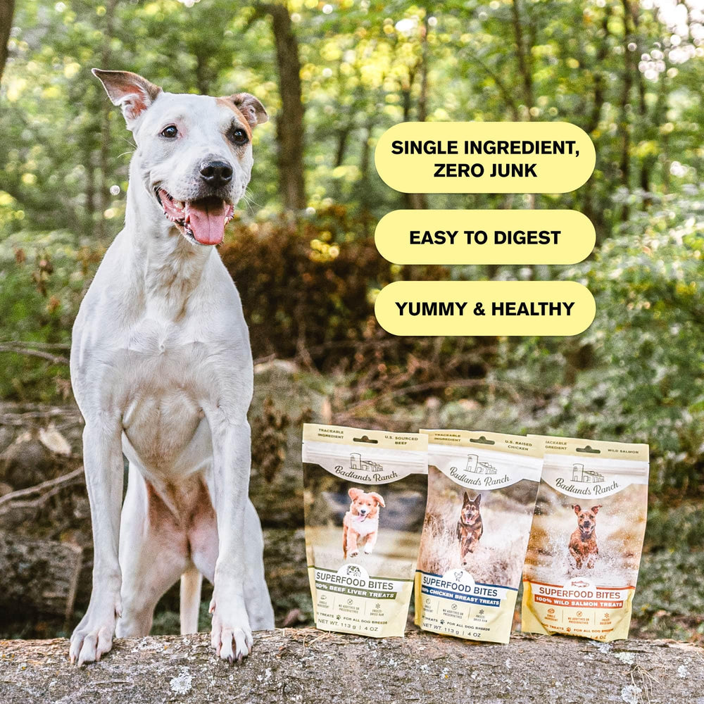 BADLANDS RANCH dog enjoying a treat, showcasing happy energy.