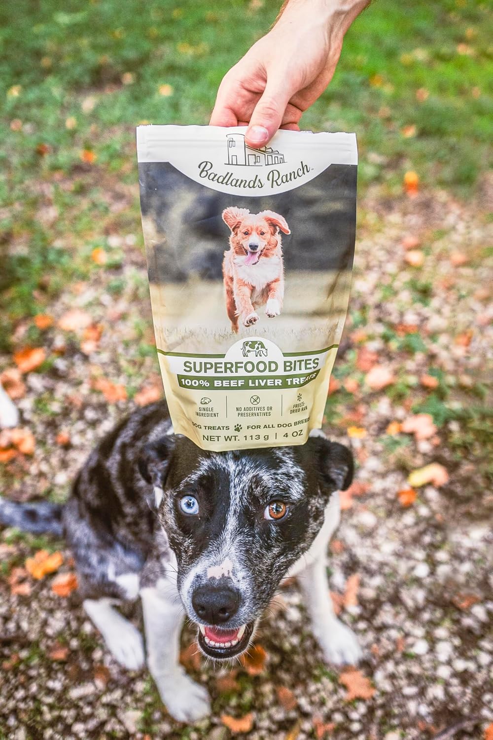 BADLANDS RANCH dog-sniffing bag suggests aroma and taste for motivation
