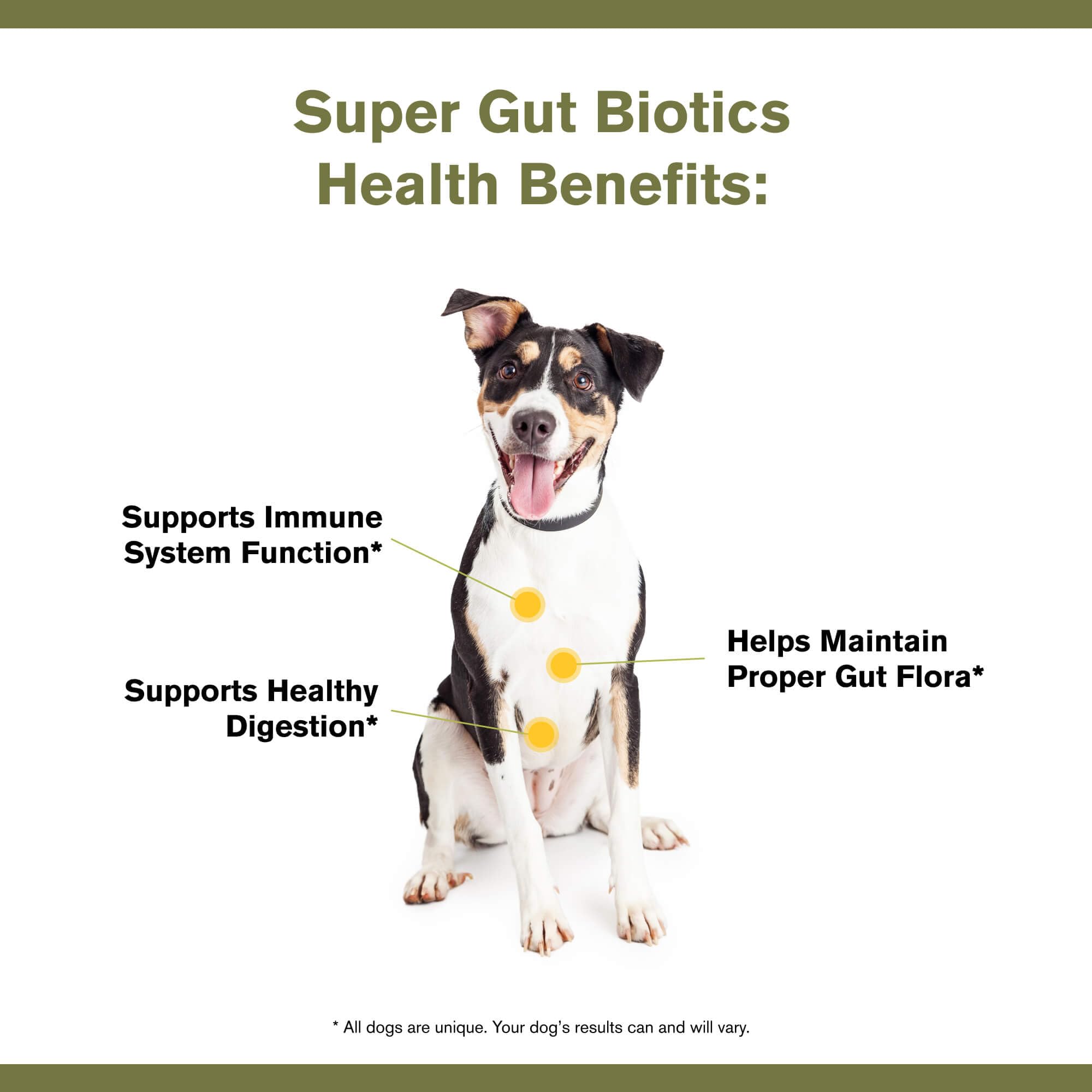 Badlands Ranch Super Gut Biotics flax and pumpkin seed powder for fiber