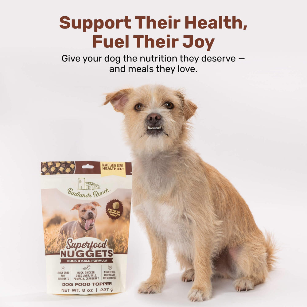 BADLANDS RANCH nuggets over kibble: topper enhances flavor and nutrition at mealtime.