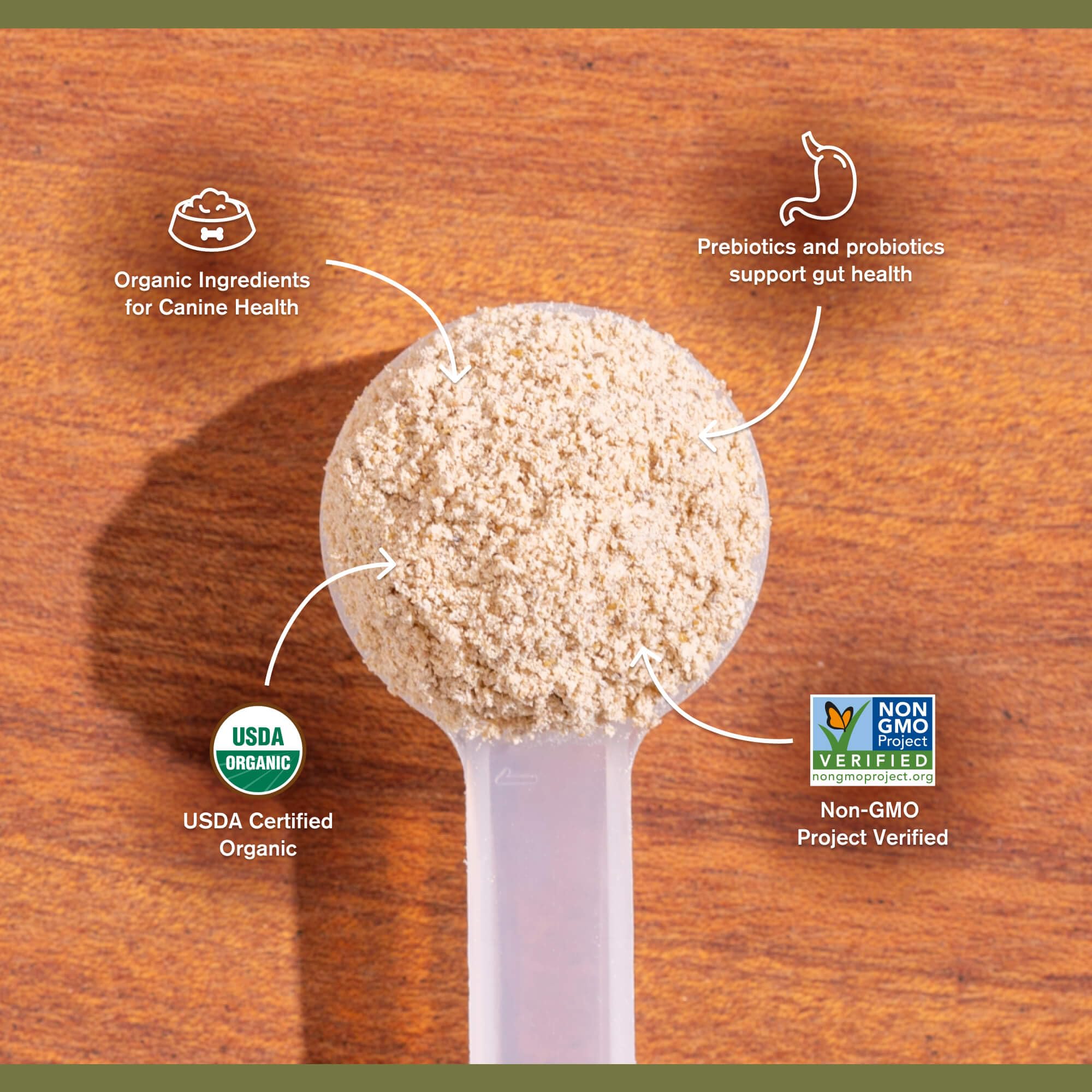 Badlands Ranch Super Gut Biotics organic mushroom blend highlighted for immune support