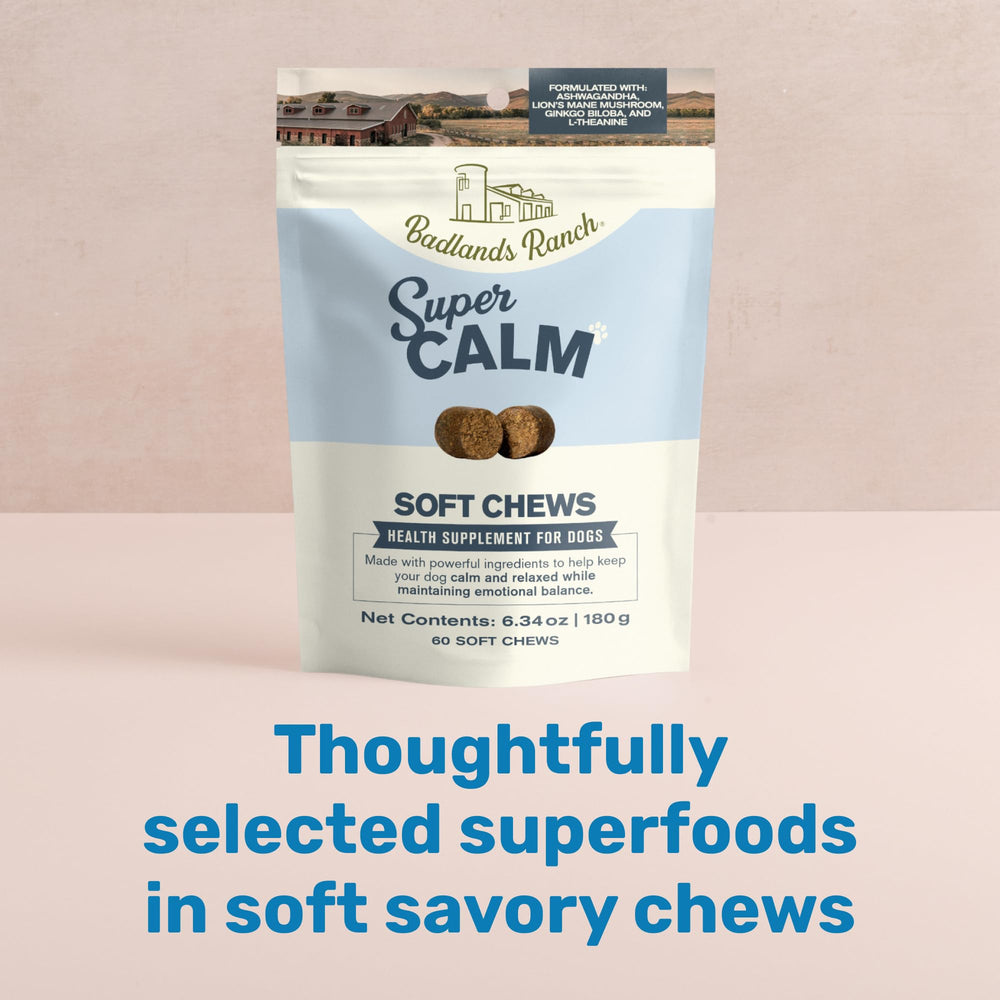 Packaging shot shows Easy daily dosage and clean ingredient focus.