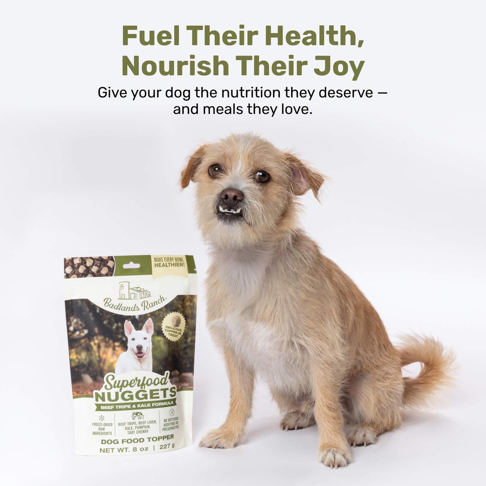 BADLANDS RANCH scoop over kibble—easy boost to daily meals.