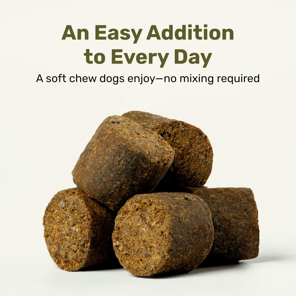 Badlands Ranch Lion's Mane mushroom blend chews beside a dog, suggesting daily cognitive-friendly use.