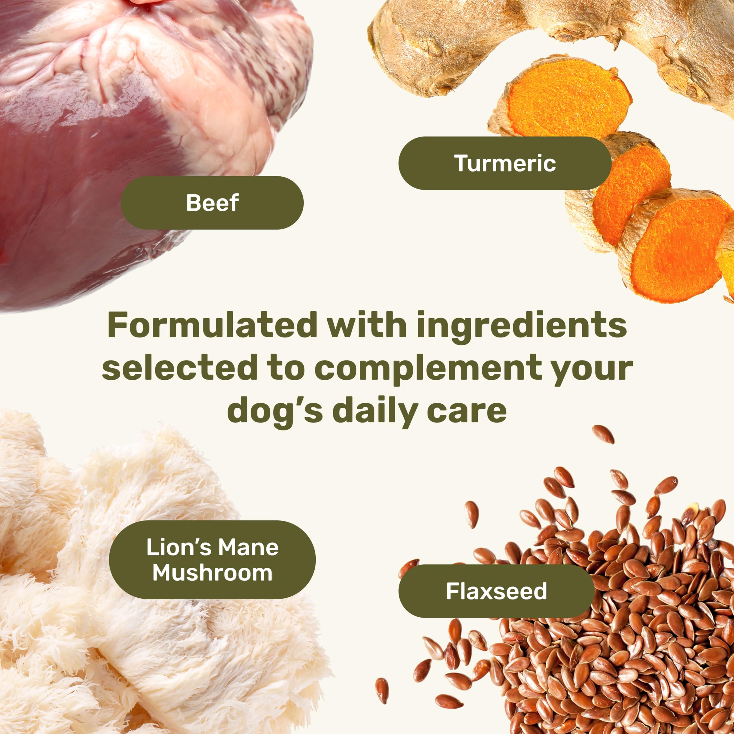 Badlands Ranch turmeric-infused chews showcased with turmeric root, highlighting natural spice and flavor.