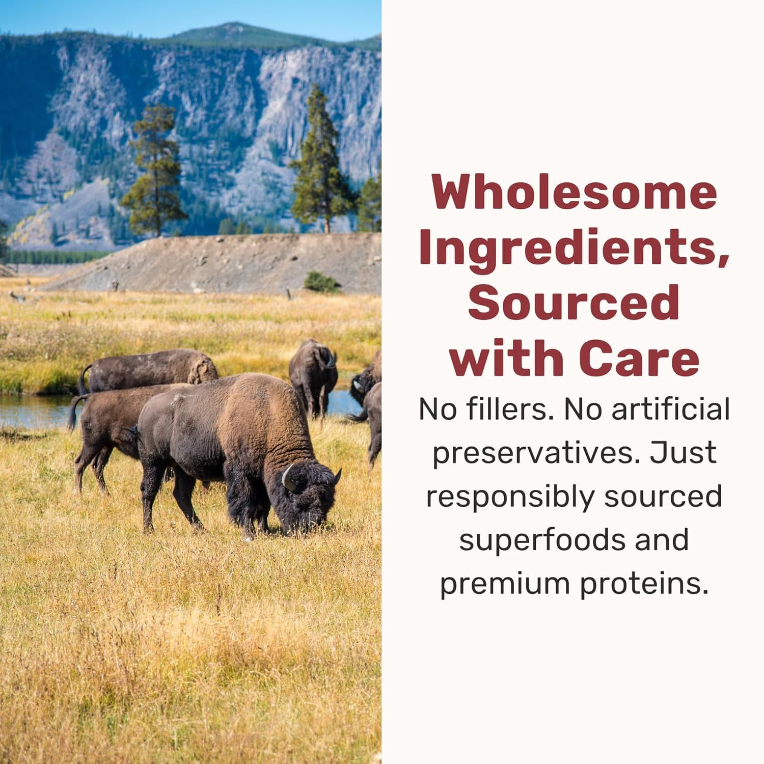 BADLANDS RANCH training rewards with high-protein nuggets