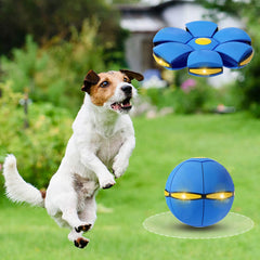 BadWALT flying saucer toy with light for visible play at dusk.