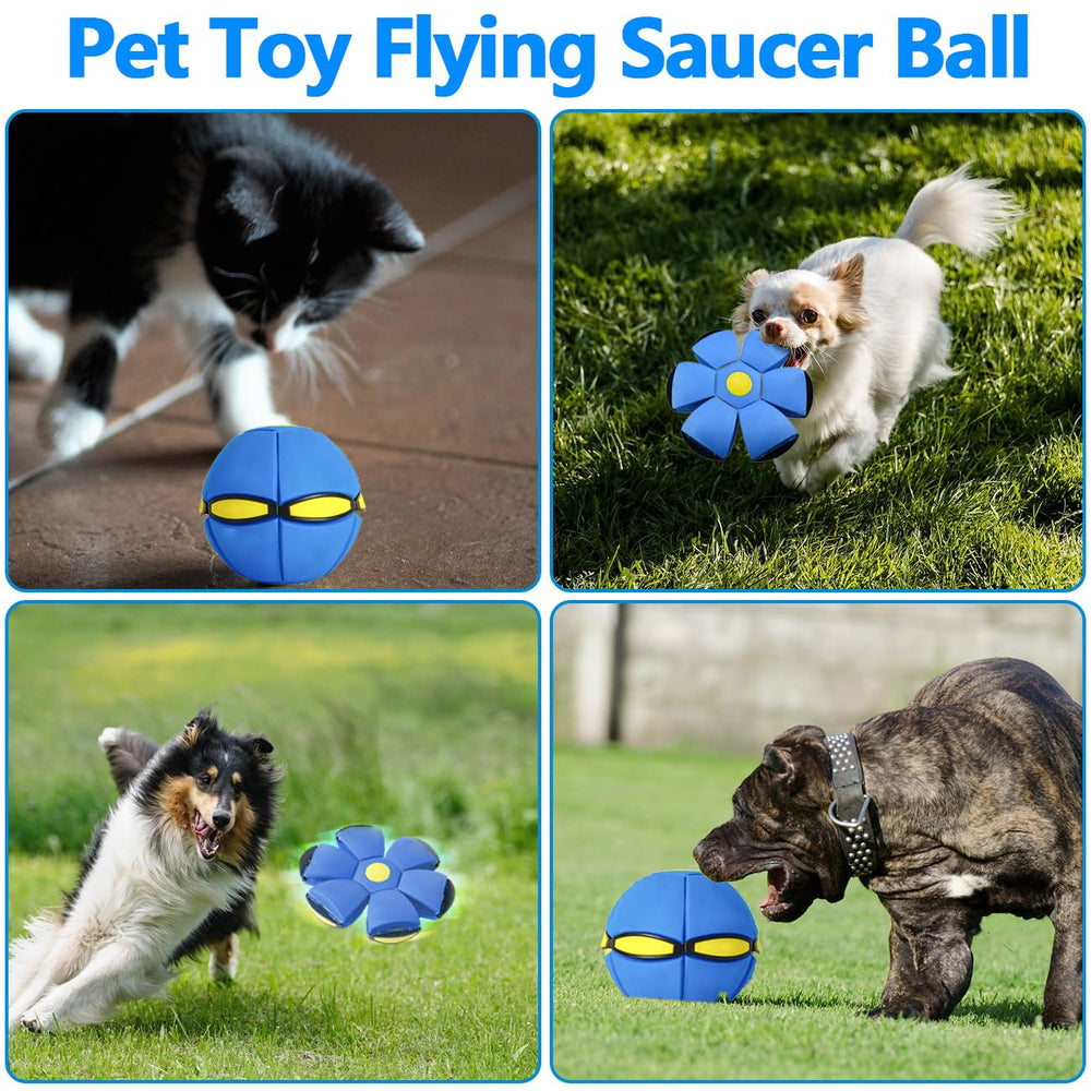 BADWALT indoor-outdoor fun ball works across living room and yard.