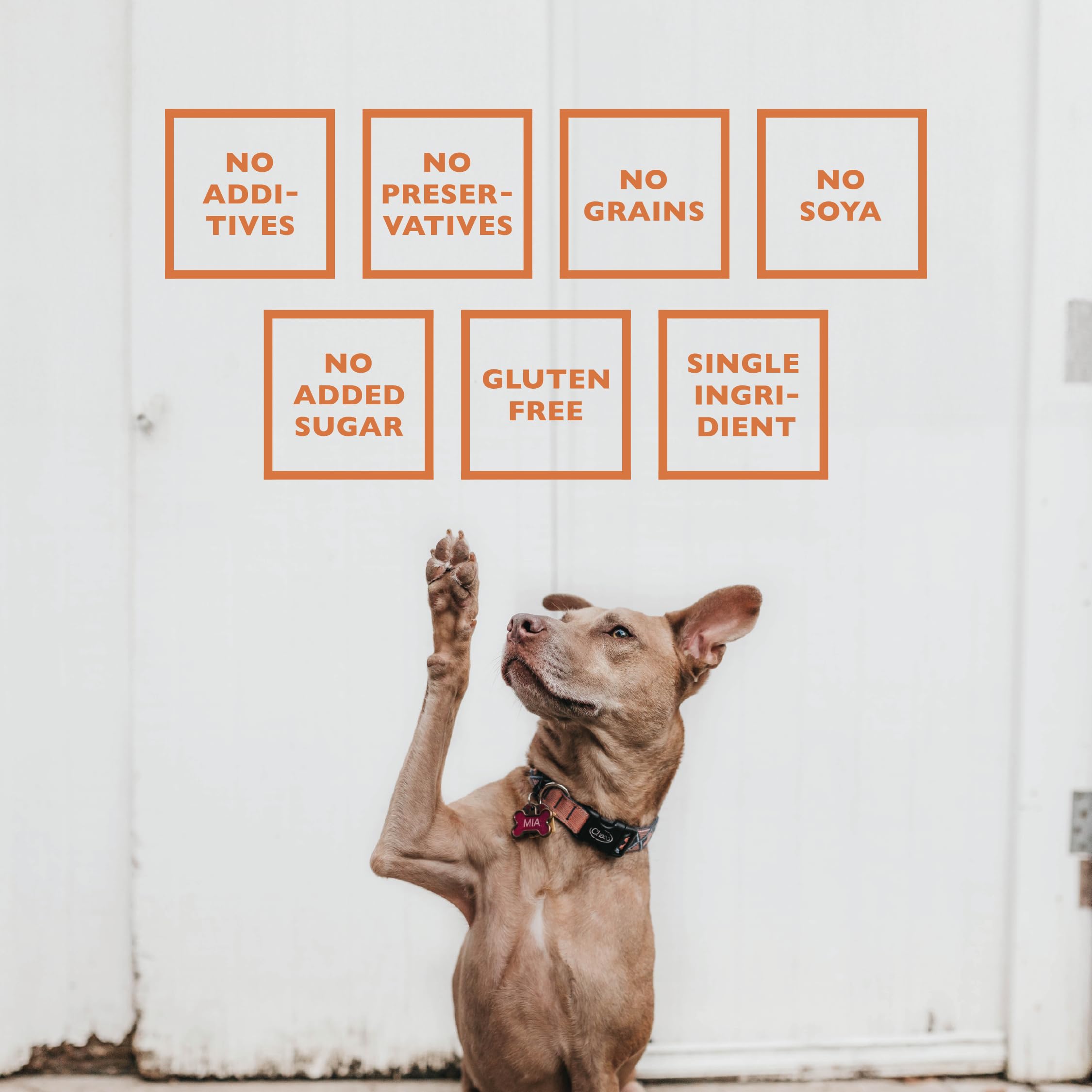 Baffs Naturals Healthy Dog Chew Lamb Pizzle, protein-rich, low-fat snack for active dogs.