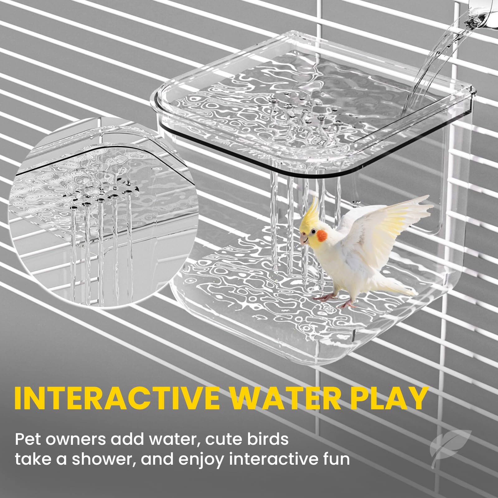BAGHPBM Durable PC+PP plastic resists pecking and keeps clarity.