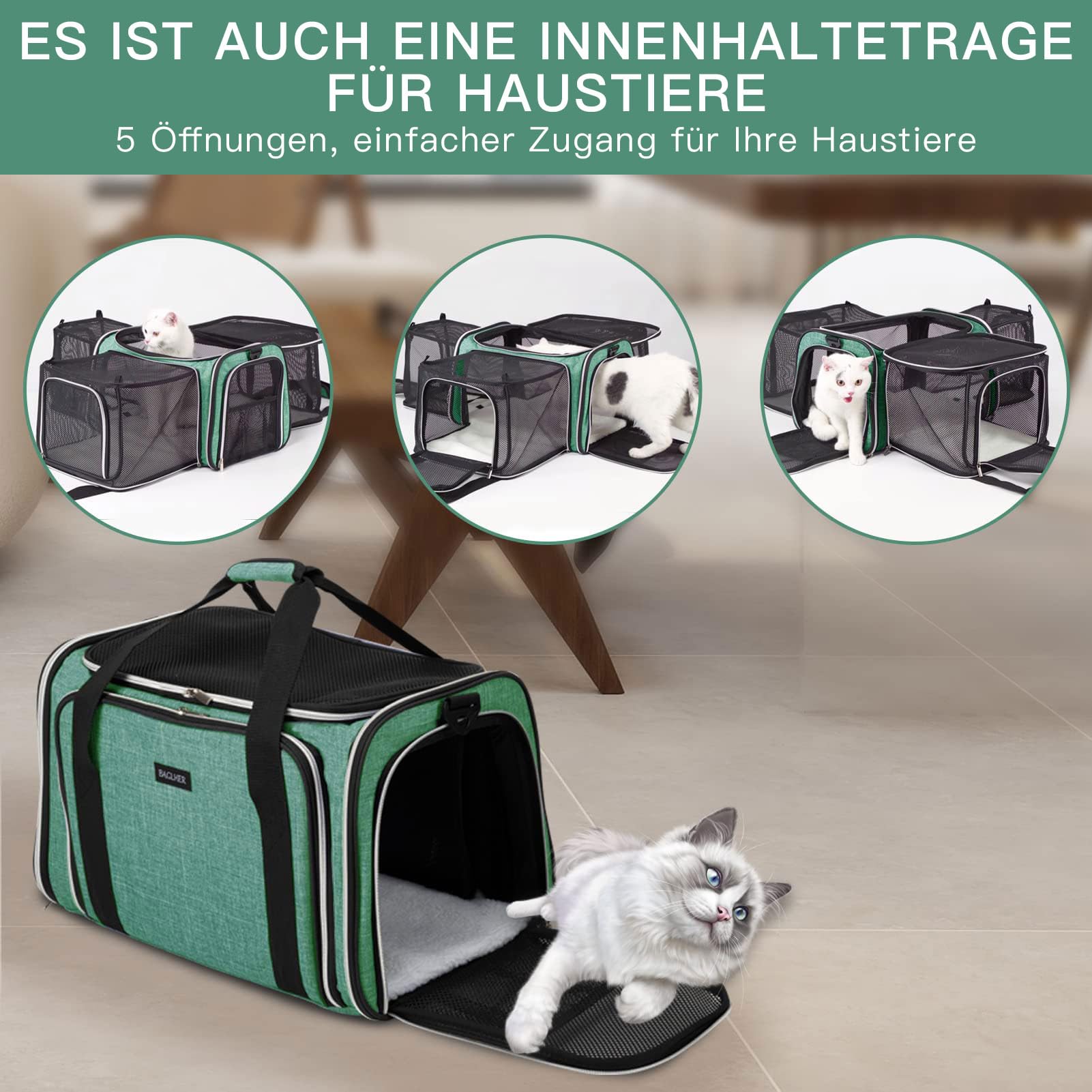 BAGLHER carrier attached to a car seat for in-vehicle safety
