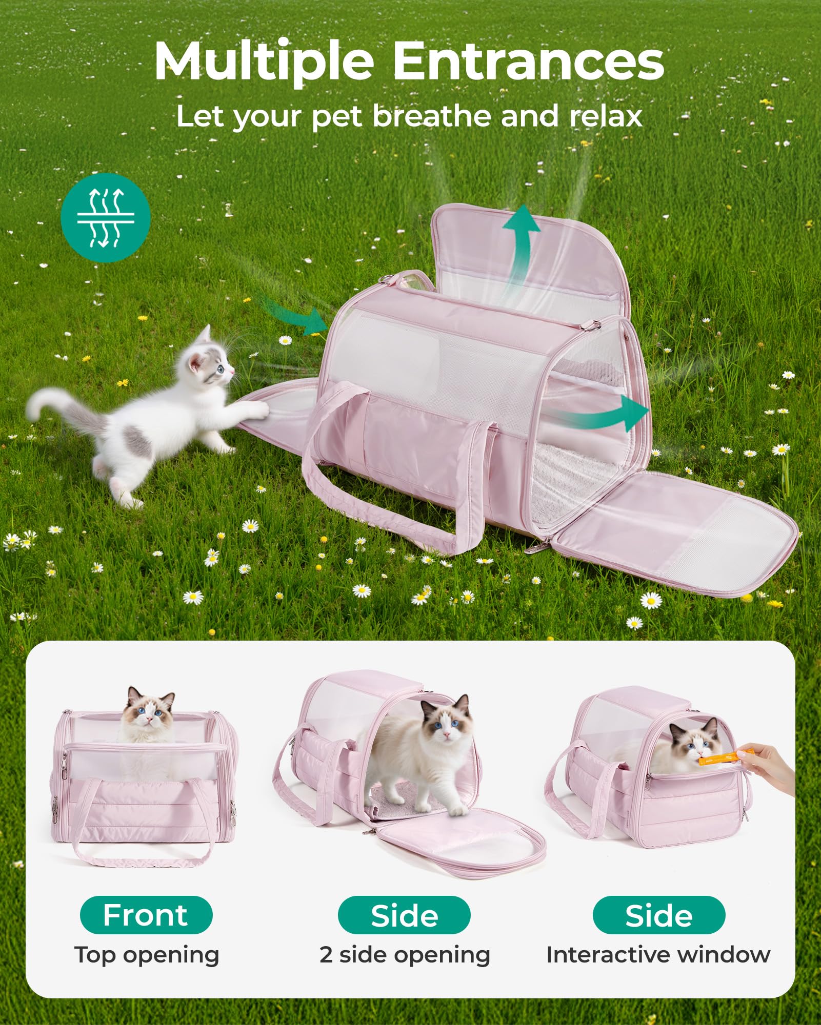 BAGSMART anti-collapse frame keeping pet secure during travel