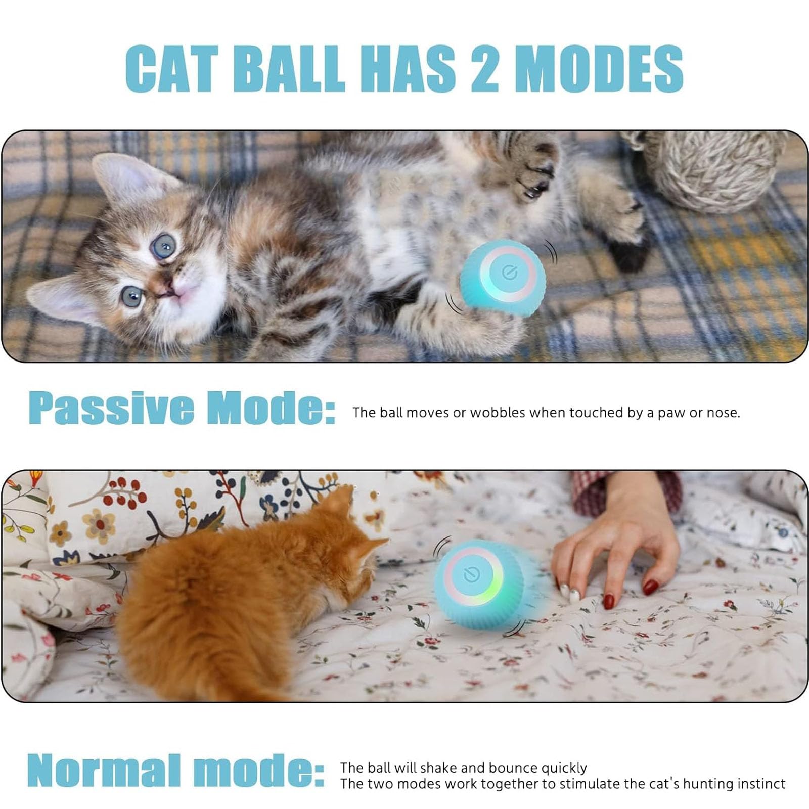Bailconti Power Ball 2.0 cat playing captures instinct-driven chases and interactive fun