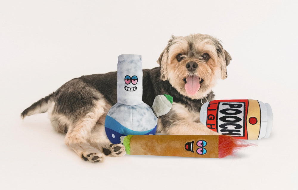 Baja Ponchos 3-pack dog toy set for versatile play