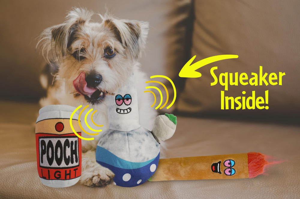 Baja Ponchos 9-inch dog chew toy, durable for dogs of all sizes