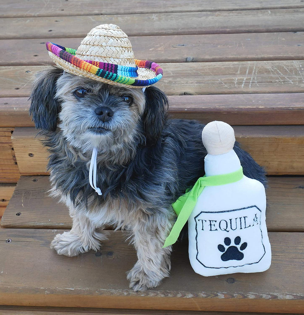 Baja Ponchos four-pack gift set offers diverse fiesta toys.