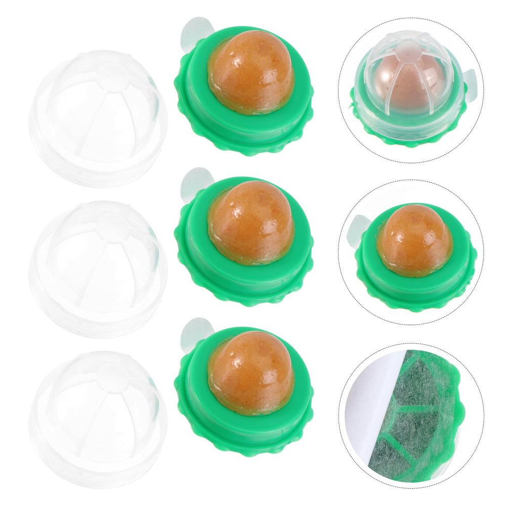 Balacoo snack time setup promotes curiosity and calm engagement.