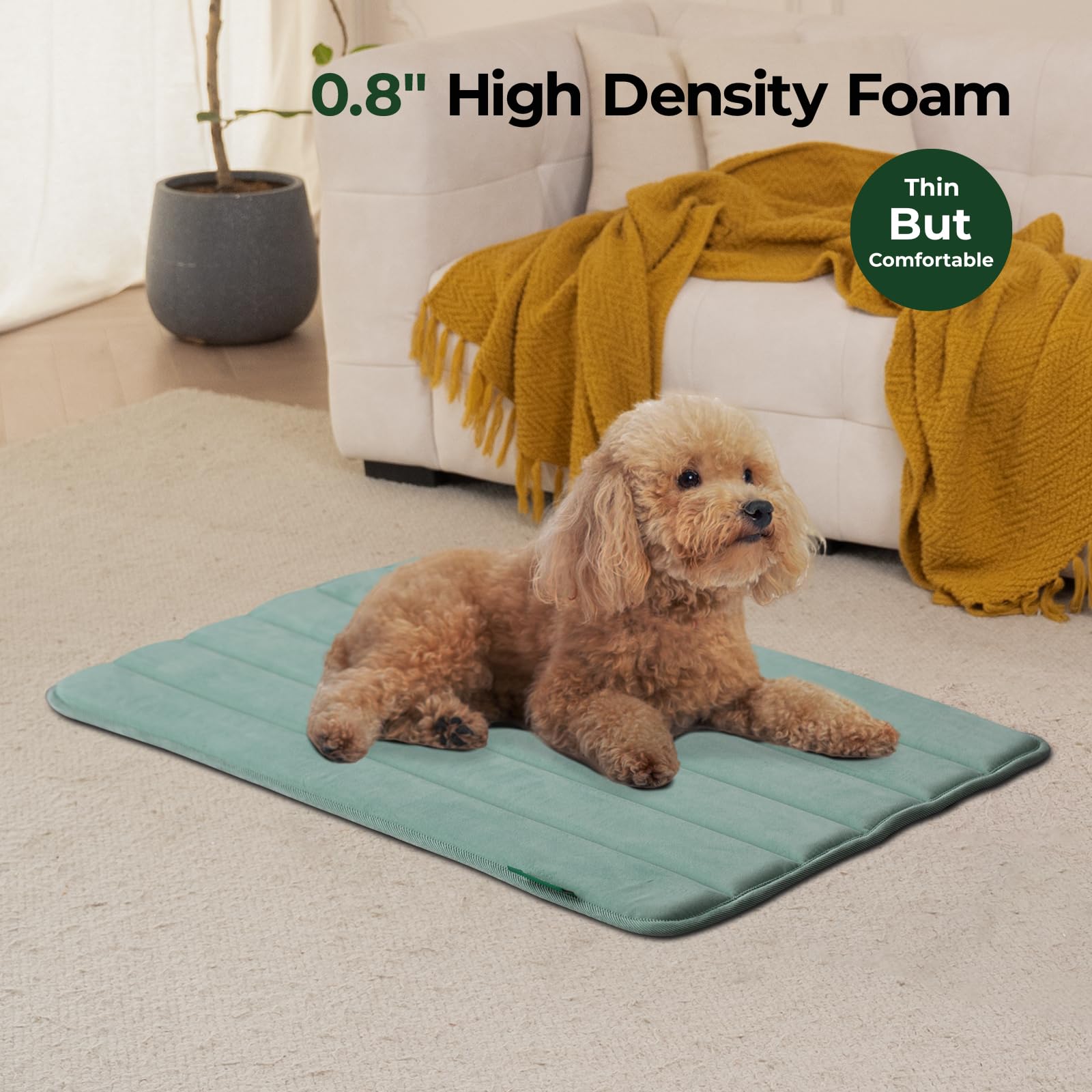 BALANCE anti-slip base keeps the crate pad secure during active play.