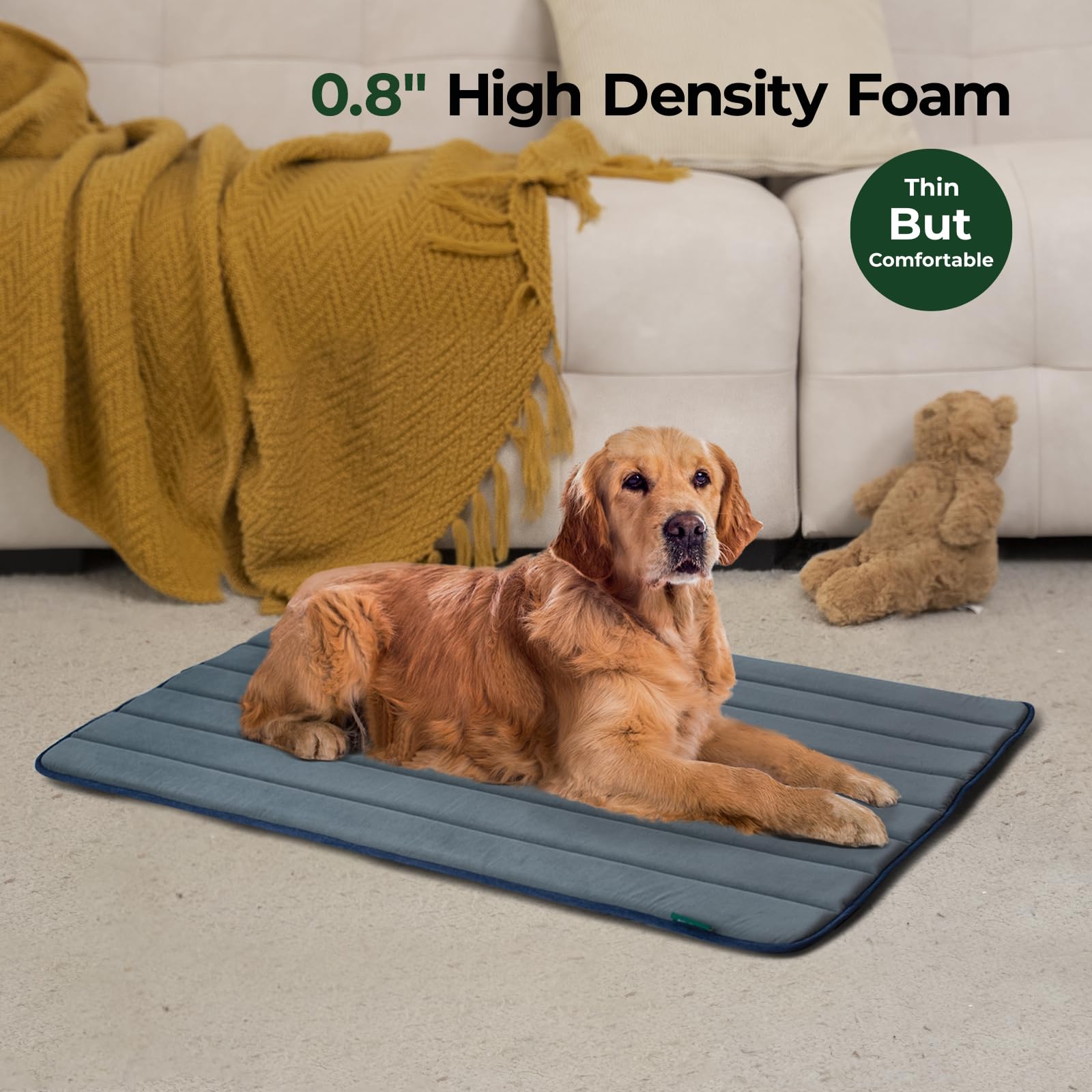 BALANCE anti-slip base—secure placement for safe crate sessions.