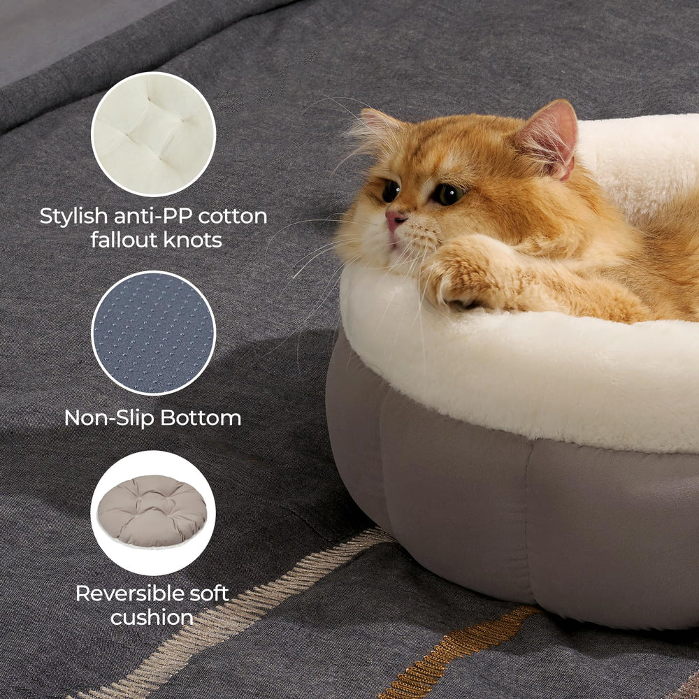 BALANCE bed supports pets up to 8 lbs for comfortable rest.