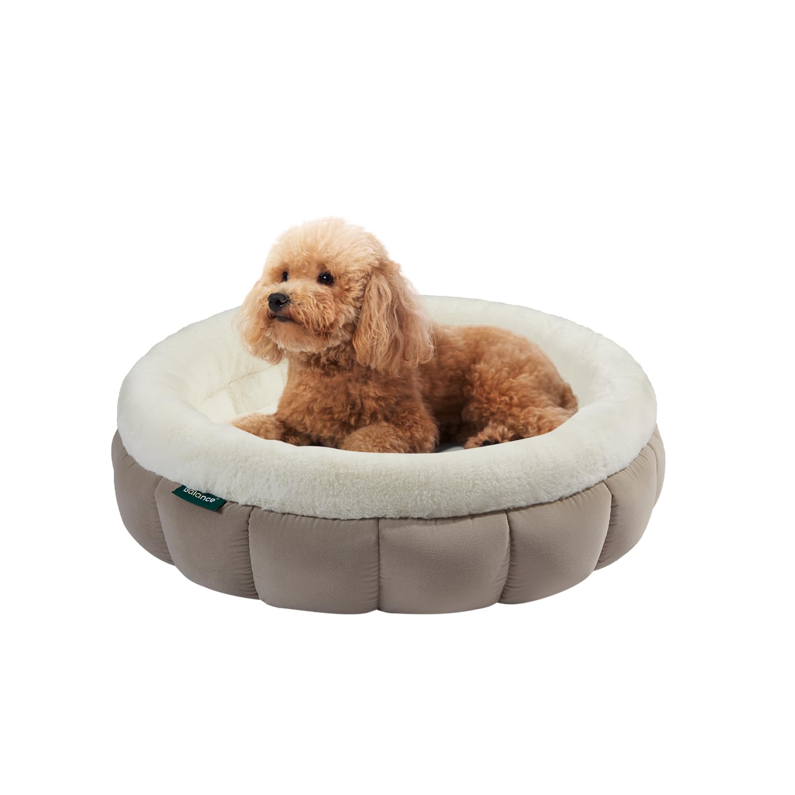 BALANCE cat bed goat round, ideal for indoor cats and small pets