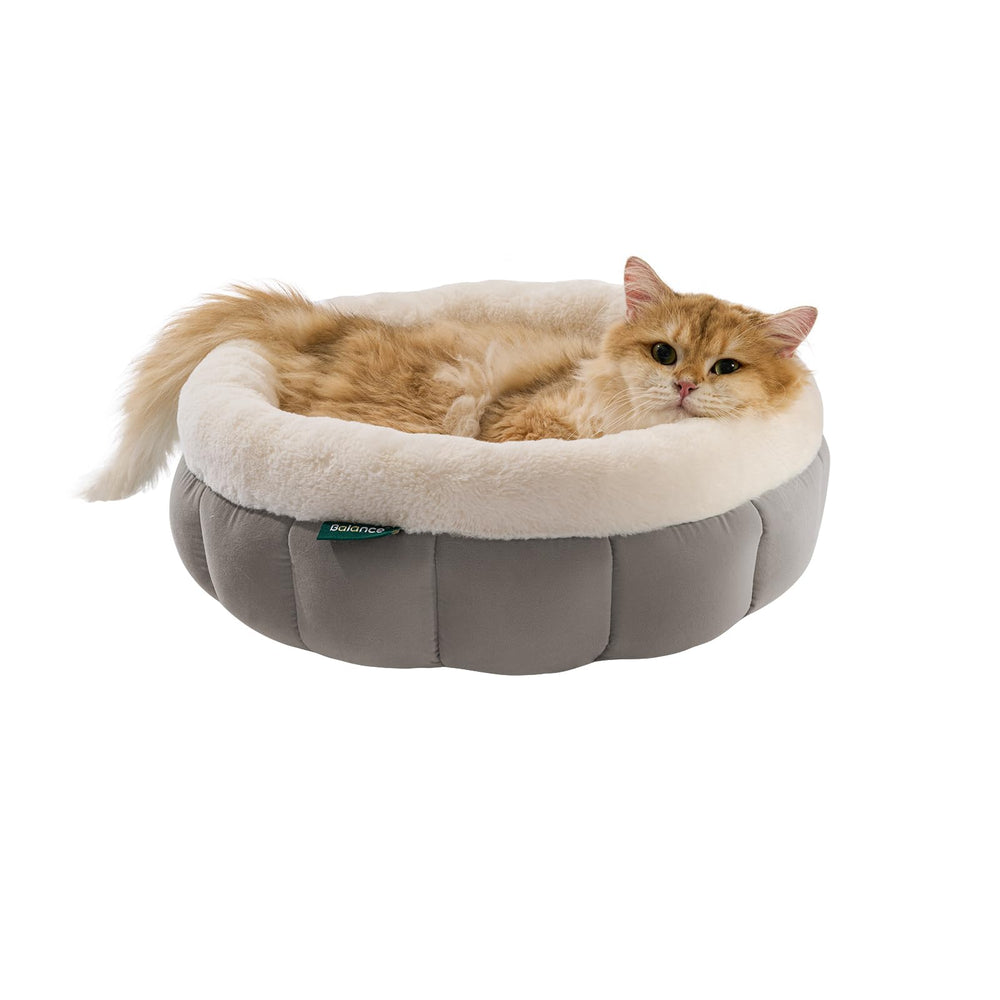 BALANCE indoor-use bed creates a comfy spot for cats and small dogs.