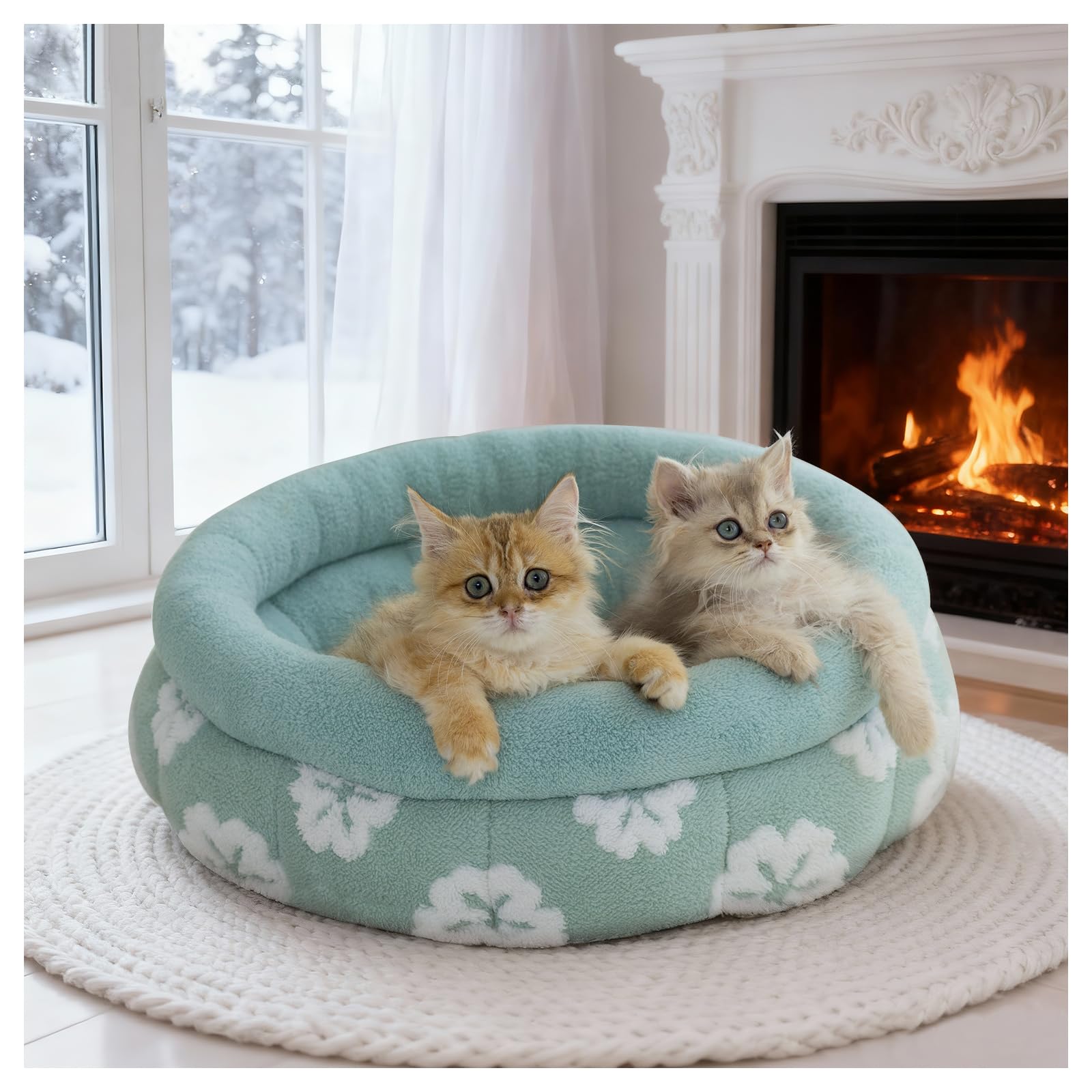 BALANCE cat bed compact packaging expands to full shape