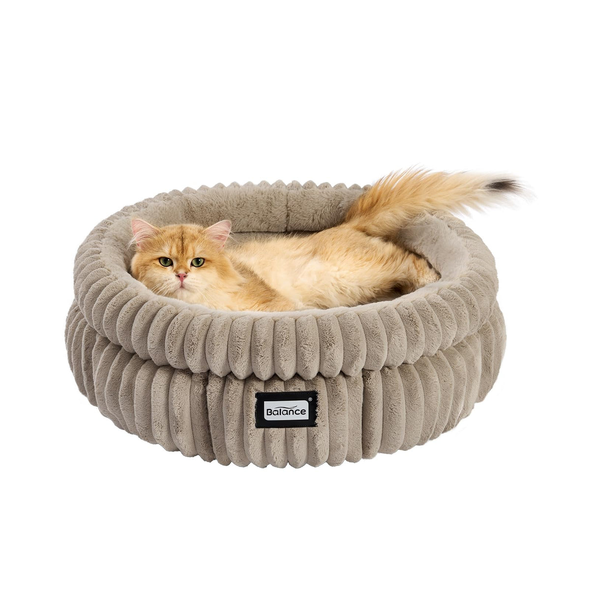 BALANCE cat bed round edge support closeup showing neck and head comfort