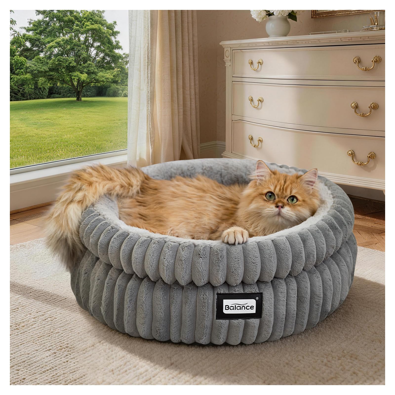 BALANCE cat bed round front view showing plush interior for cozy naps