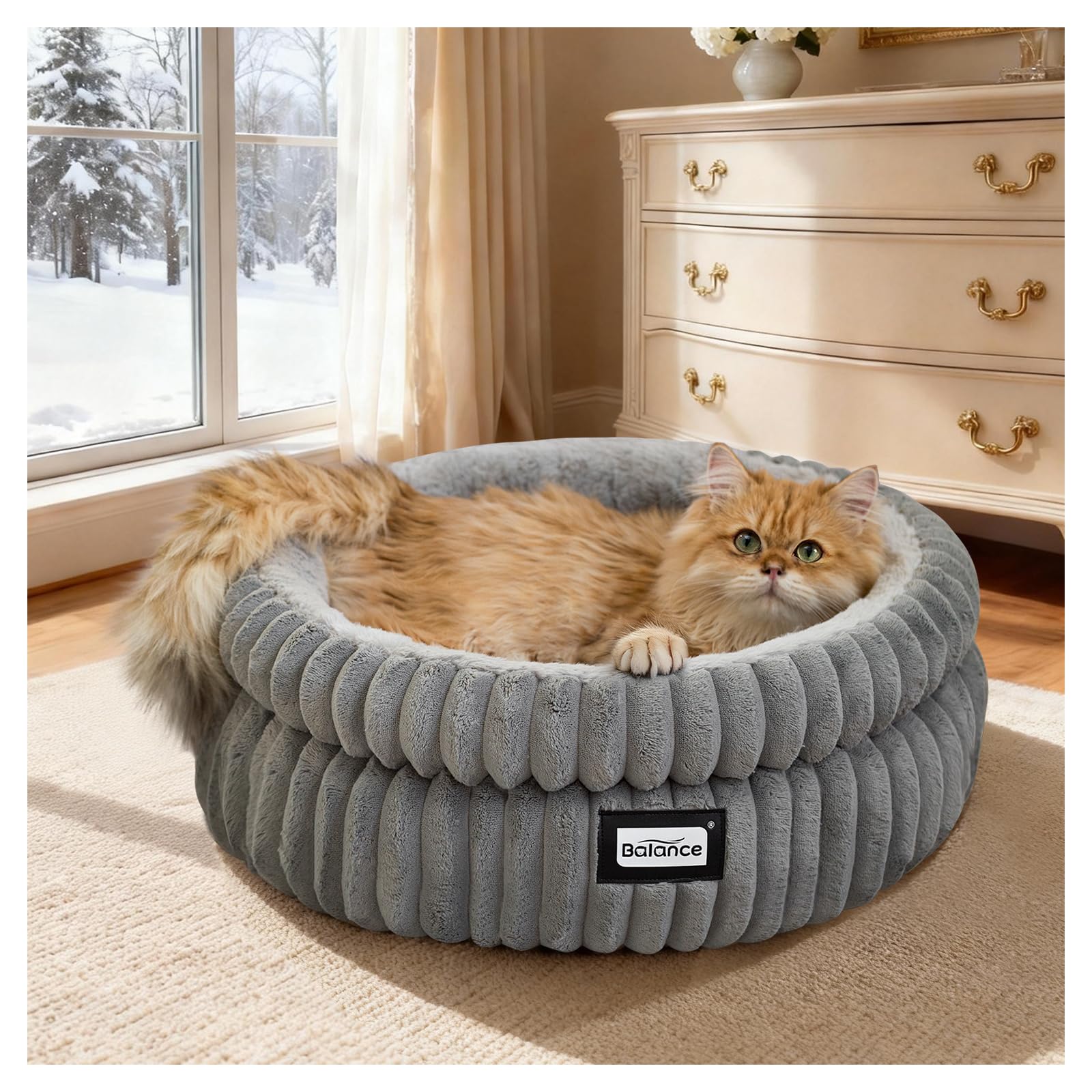 BALANCE cat bed round packaging unpacking reveals full shape after expansion