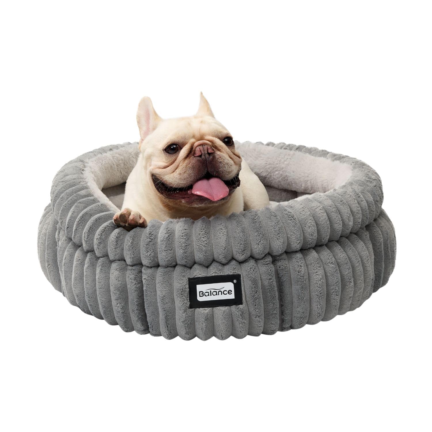 BALANCE cat bed expands after unpacking to full shape within 48 hours.