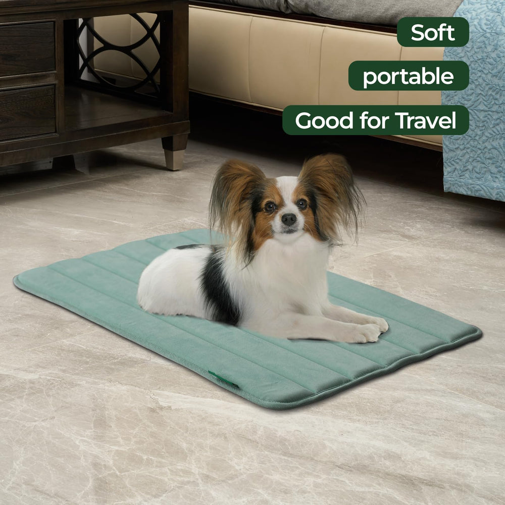 BALANCE crate pad ultra-soft surface enhances pet comfort during naps.