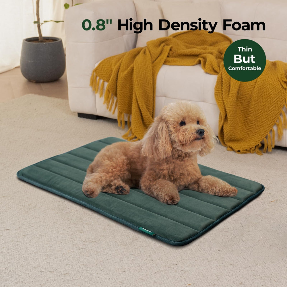 BALANCE Crate Pad featuring water-resistant top protecting foam.