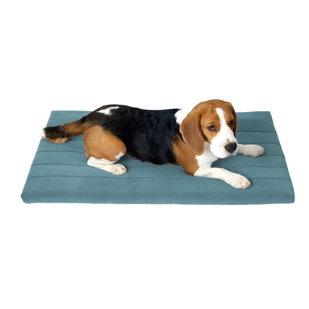 BALANCE dog crate bed with foam-core offers cushioned support for pets