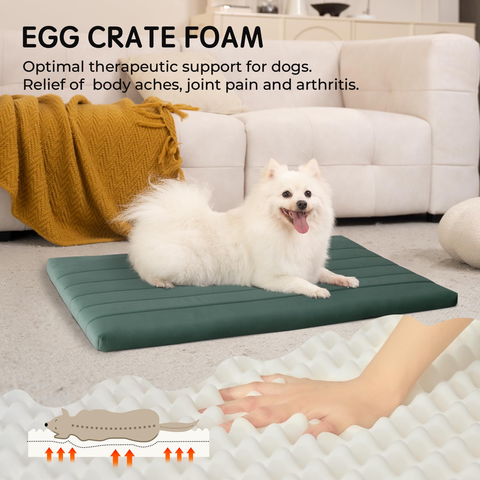 BALANCE Dog Crate Bed with waterproof liner protects against spills during crate use.