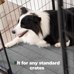 Balance dog crate pad anti-slip base prevents movement during play.