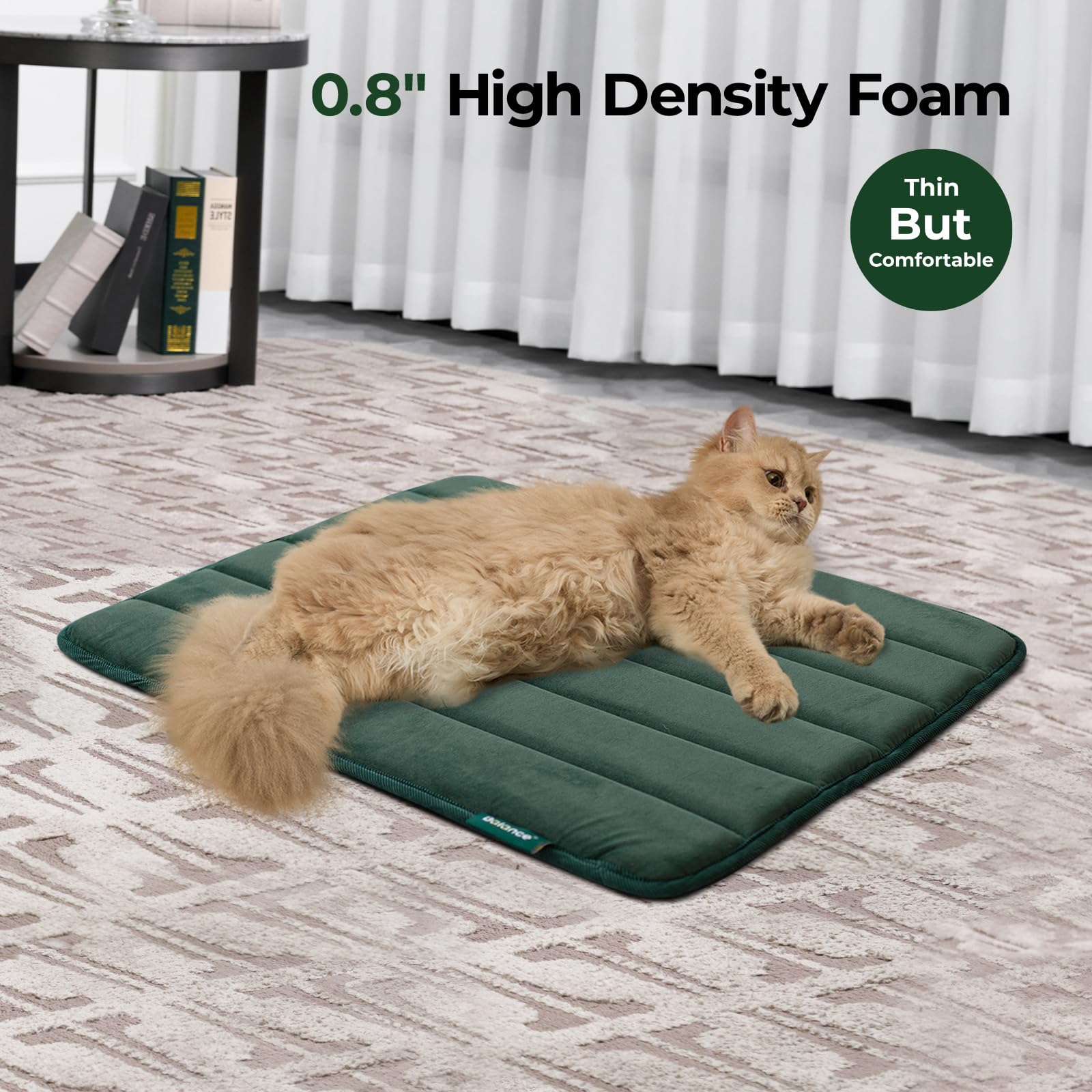 Close-up of BALANCE foam core providing cushioned support for small dogs