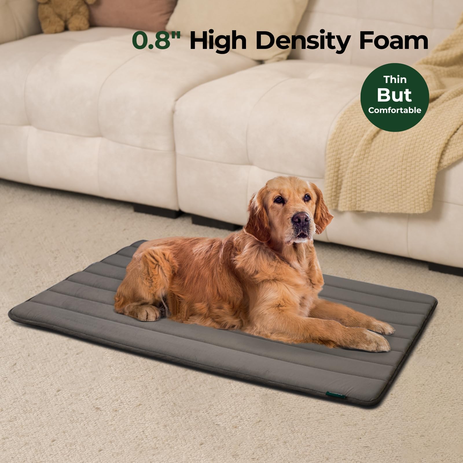 BALANCE Dog Crate Pad water-resistant top protects foam during spills and accidents.