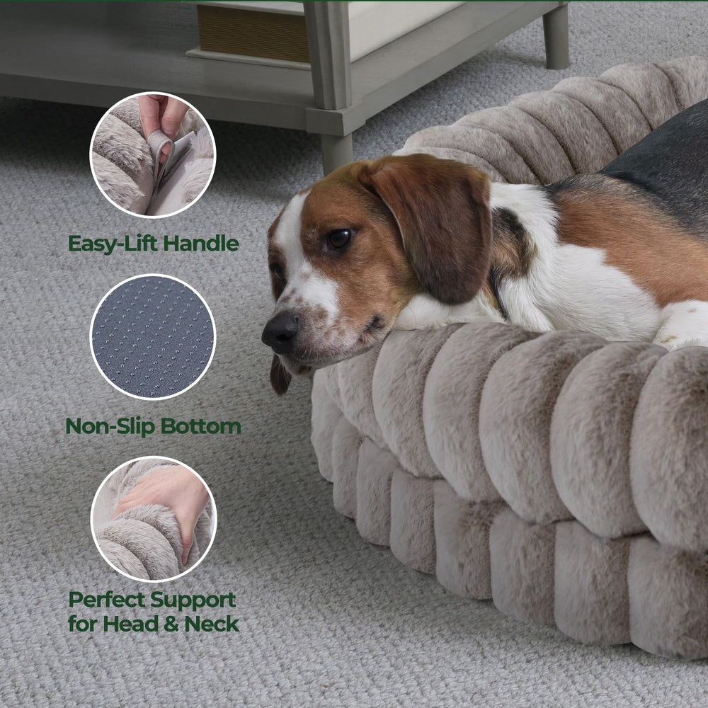 BALANCE Donut Bed ideal for large dogs like Border Collie and Husky.