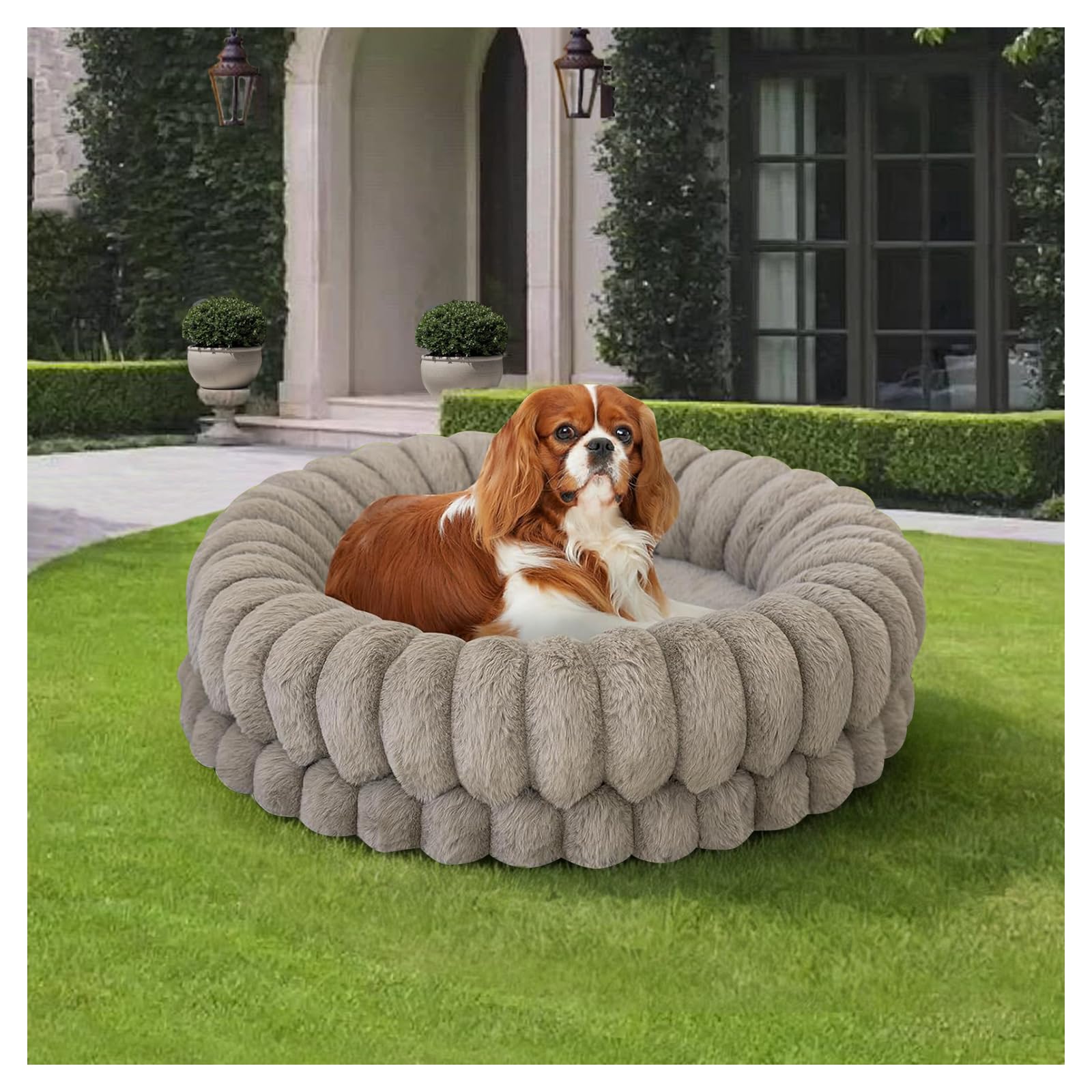 BALANCE Luxury Donut Bed 24-inch round close-up shows plush fabric for cozy naps