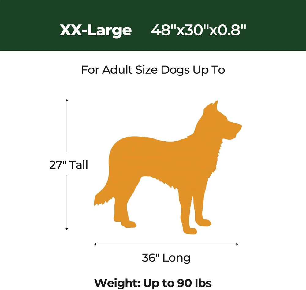 BALANCE machine-washable dog bed—easy cleaning and quick dry.