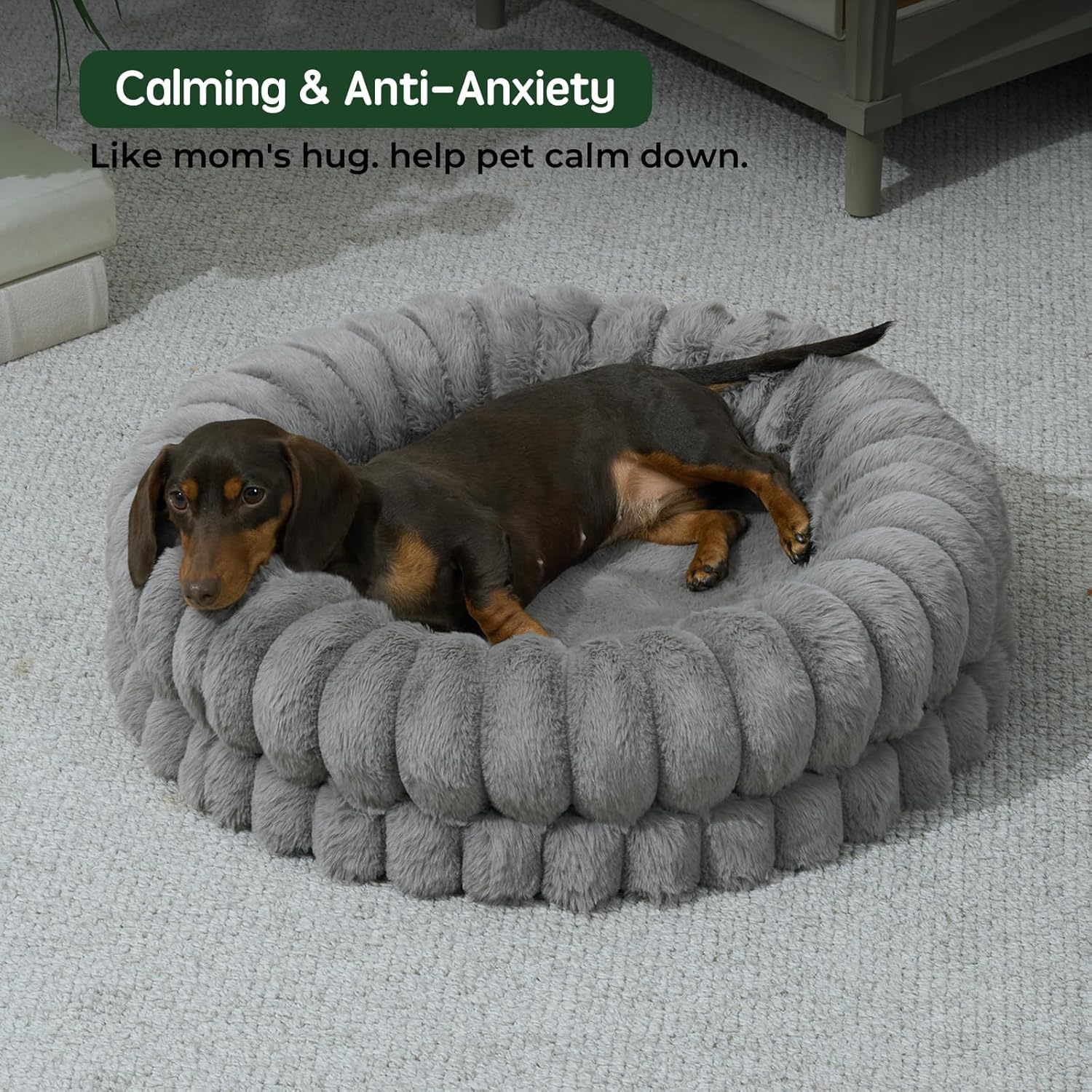 BALANCE Orthopedic donut bed with egg crate bottom supports joints during rest