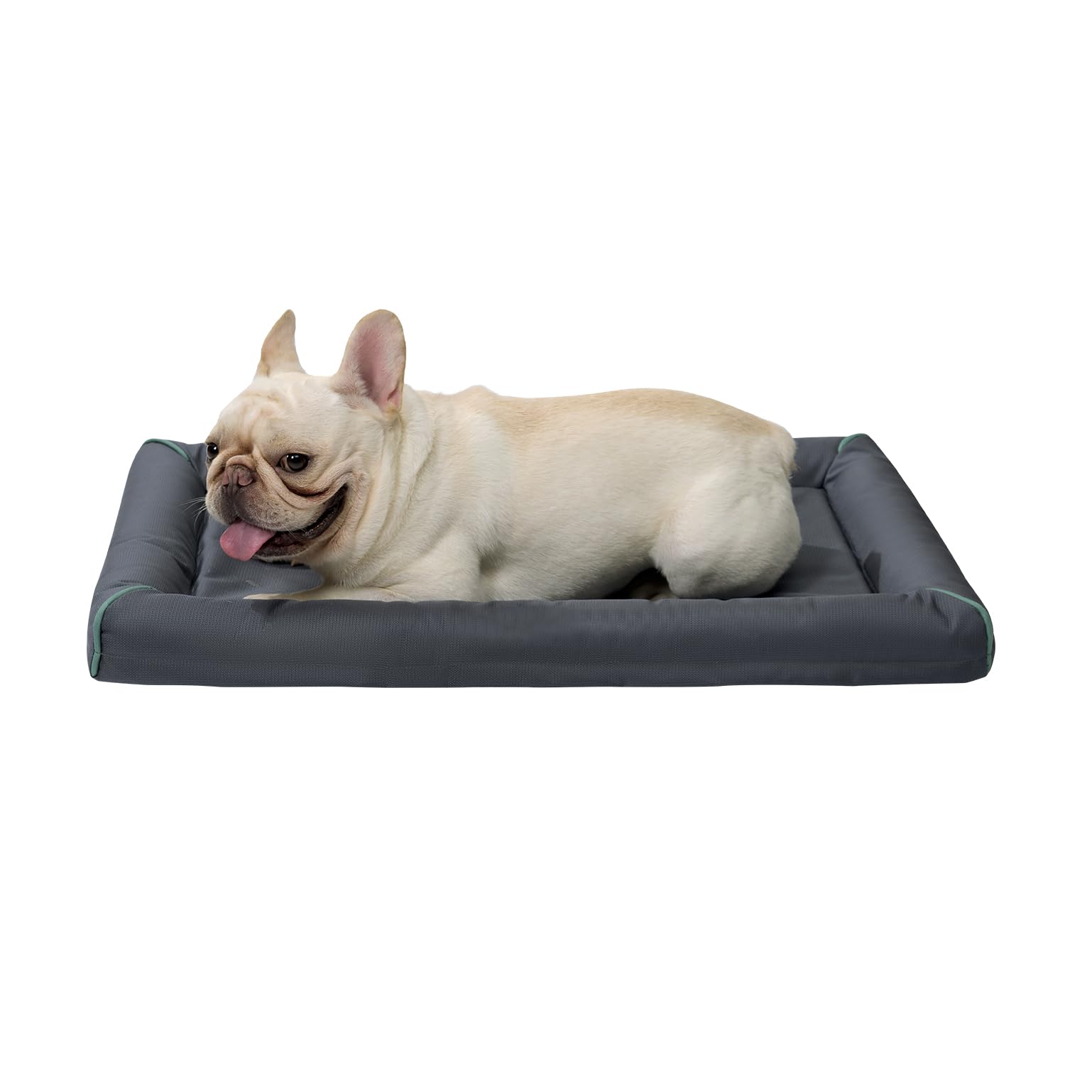BALANCE Oxford dog bed shows 30-inch size for medium dogs, comfy resting.
