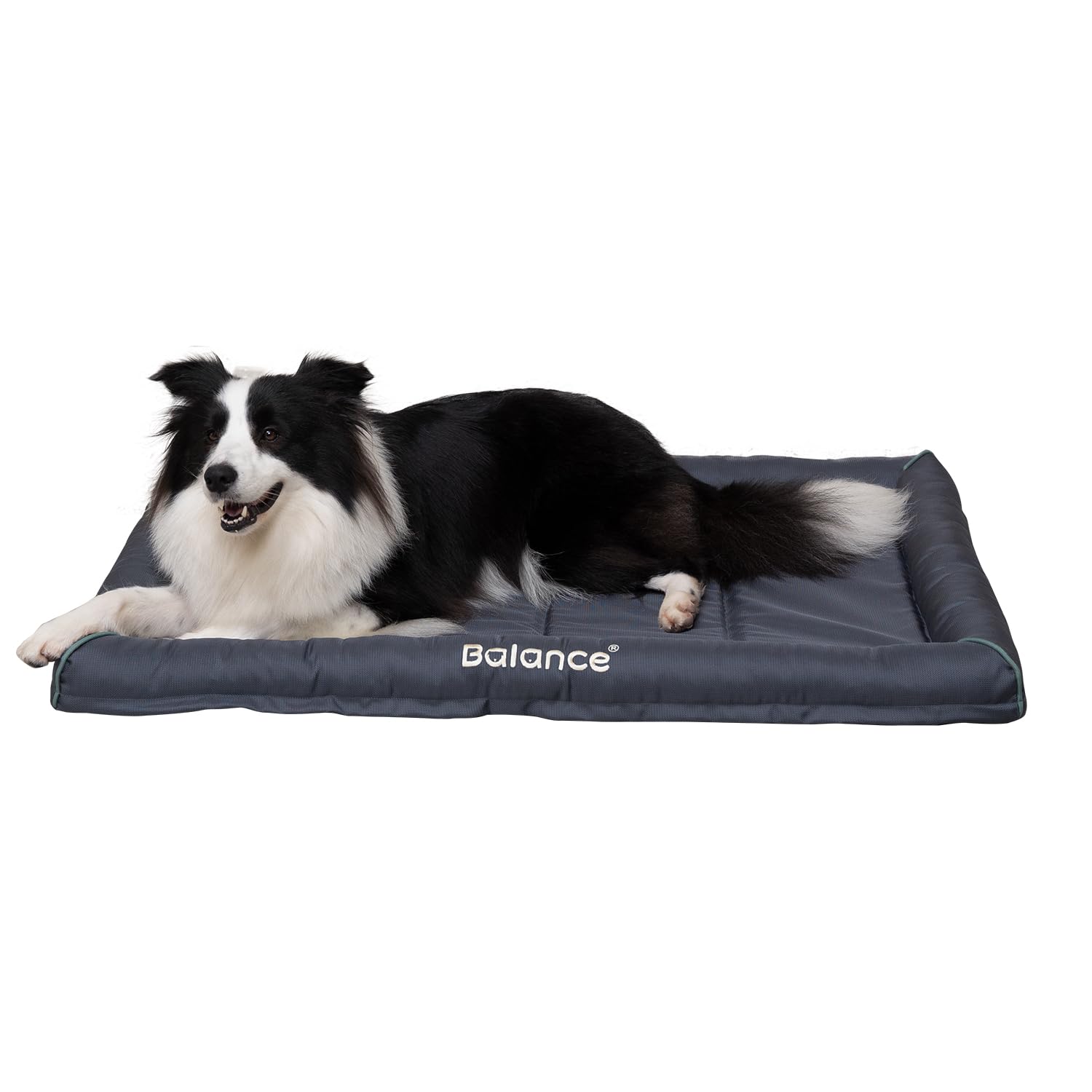 BALANCE Oxford dog bed top view with ample space for large dogs